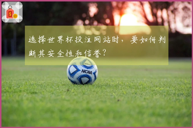 选择世界杯投注网站时，要如何判断其安全性和信誉？