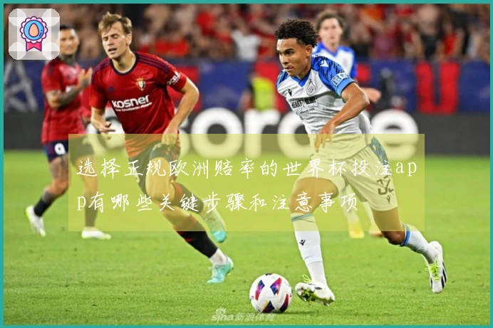 选择正规欧洲赔率的世界杯投注app有哪些关键步骤和注意事项