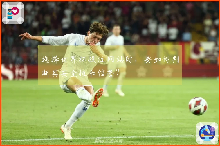 选择世界杯投注网站时，要如何判断其安全性和信誉？